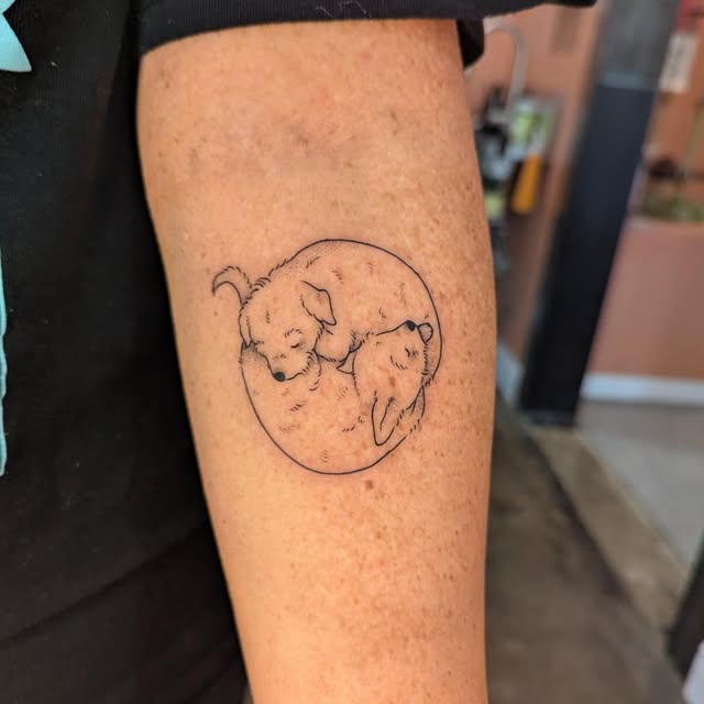 Fine-line tattoo of two sleeping dogs curled together